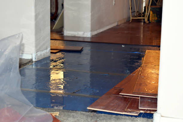 Professional Sewage Cleanup technician working in Hillside, CO
